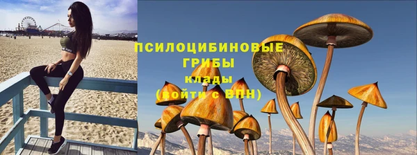марки lsd Абаза